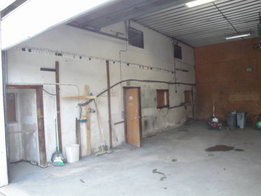 Before Reno of the Bay Areas